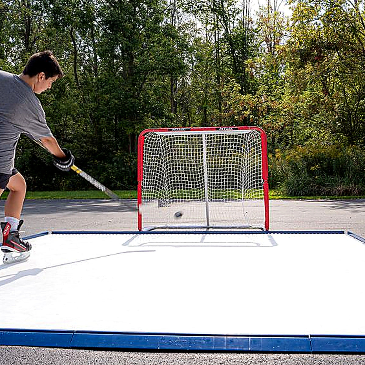Development Rink 10x12